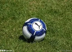 蓝军三战澳,洲赛事颗粒,无收,米乐YY易游体育,YY,米乐YY易游体育网址,米乐YY易游app,米乐YY易游官网,米乐YY易游集团