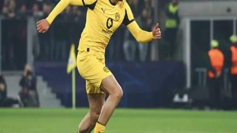 米乐YY易游体育